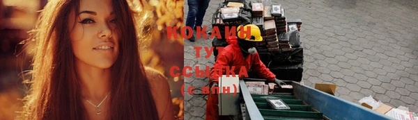 ПСИЛОЦИБИНОВЫЕ ГРИБЫ Корсаков