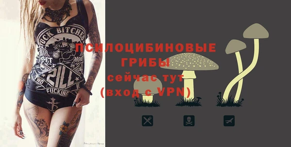 ПСИЛОЦИБИНОВЫЕ ГРИБЫ Аркадак