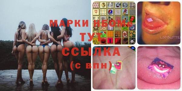 трава Верея