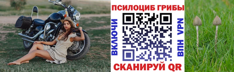 Галлюциногенные грибы MAGIC MUSHROOMS Александровск-Сахалинский